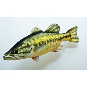 Ryba Bass Wielkogbowy - 67cm