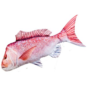 Ryba Lucjan - 102cm