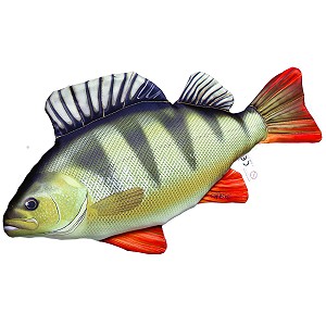 Ryba Oko Mini - 32cm