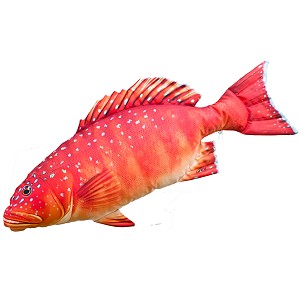 Ryba Pstrg Koralowy - 81cm