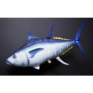 Ryba Tuczyk - 65cm