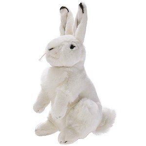 Krlik zajczek biay - 25cm