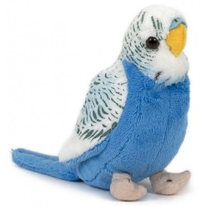 Papuga Falista Papuka Niebieska - 12cm