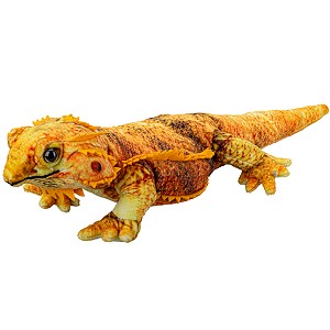 Agama Pluszowa - 45cm