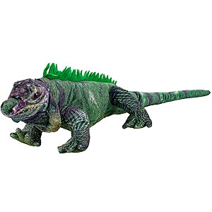 Legwan Iguana - 50cm