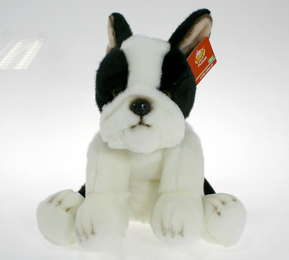 Piesek buldog francuski - 30cm