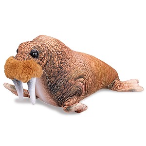 Mors Wilk Morski Foka - 40cm