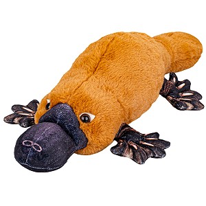 Dziobak - 50cm