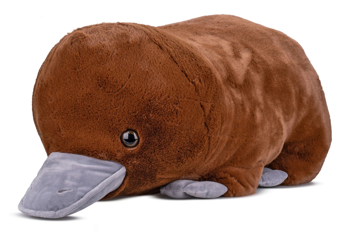 Dziobak Gigant XL - 70cm