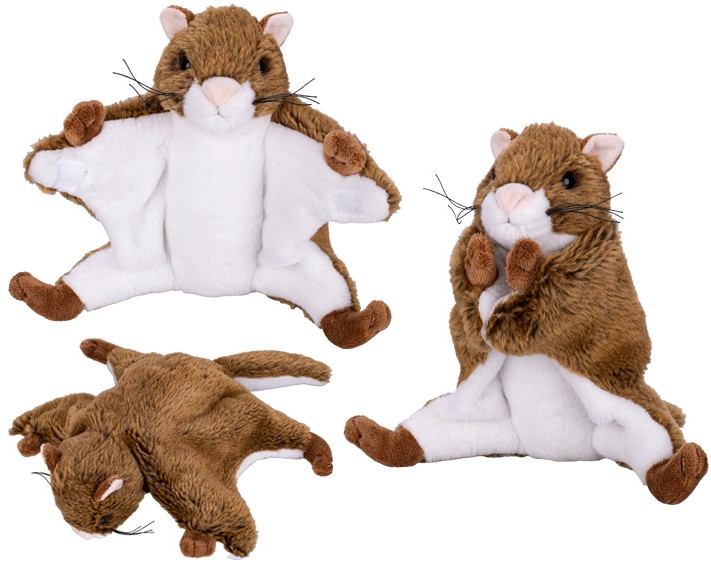 Wiewiórka Latająca Lotopałanka Karłowata - 36cm