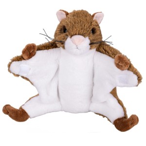 Wiewiórka Latająca Lotopałanka Karłowata - 36cm