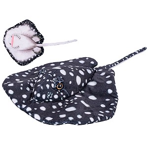 Manta Płaszczka czarna nakrapiana - 40cm