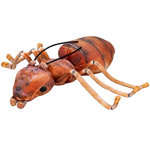 Mrówka Brązowa - 20cm