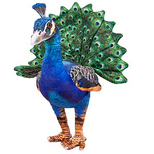 Paw Ptak Stojący - 40cm