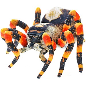 Pająk Brązowy - 25cm