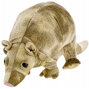 Łuskowiec Pancernik - 33/22cm