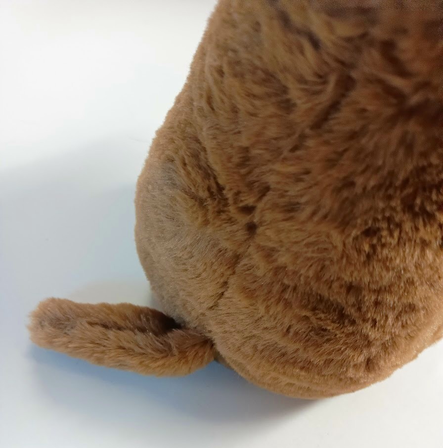 Świstak Bóbr pluszowy - 25cm