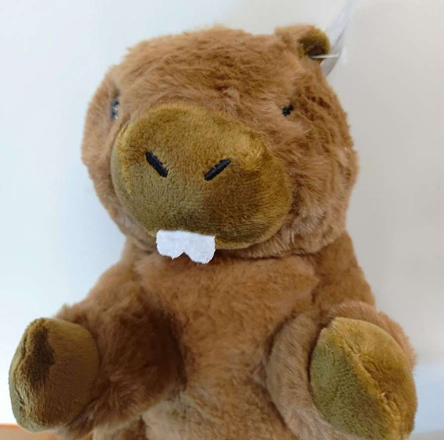 Świstak Bóbr pluszowy - 25cm