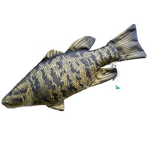 Ryba Bass Małogębowy - 67cm