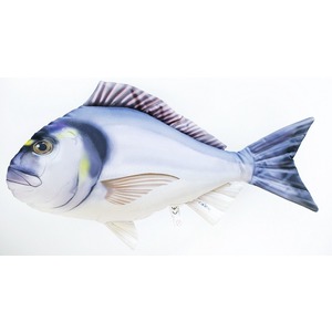 Ryba Dorada - 63cm