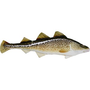 Ryba Dorsz Atlantycki - 38cm Ryba Dorsz Atlantycki - 38cm