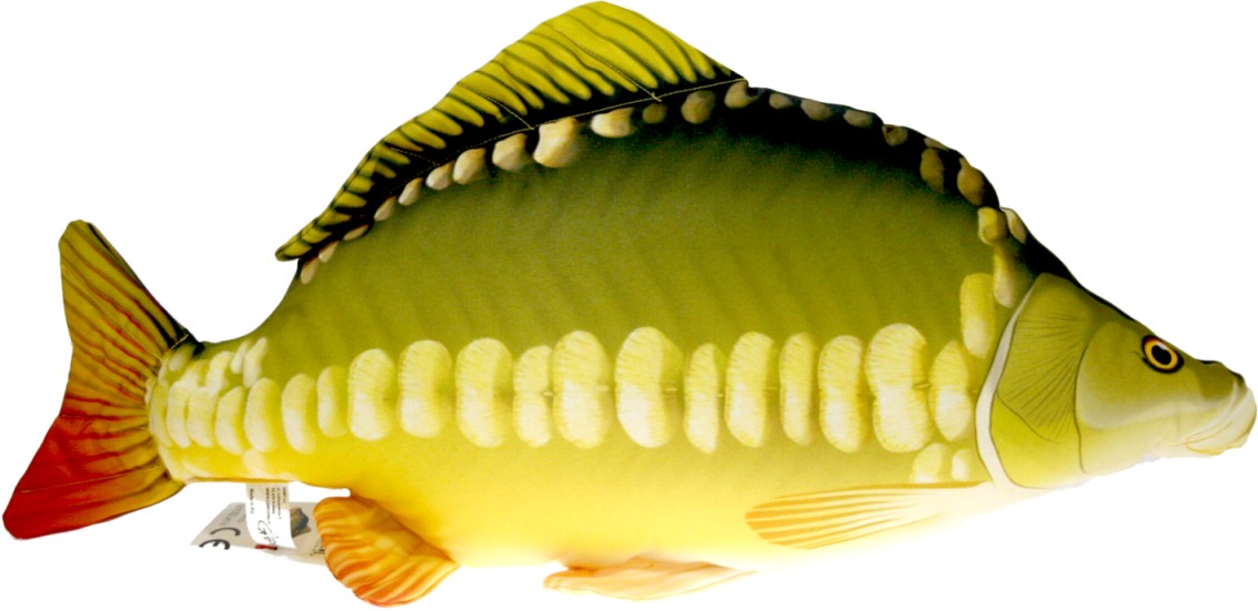 Ryba Karp - 61cm