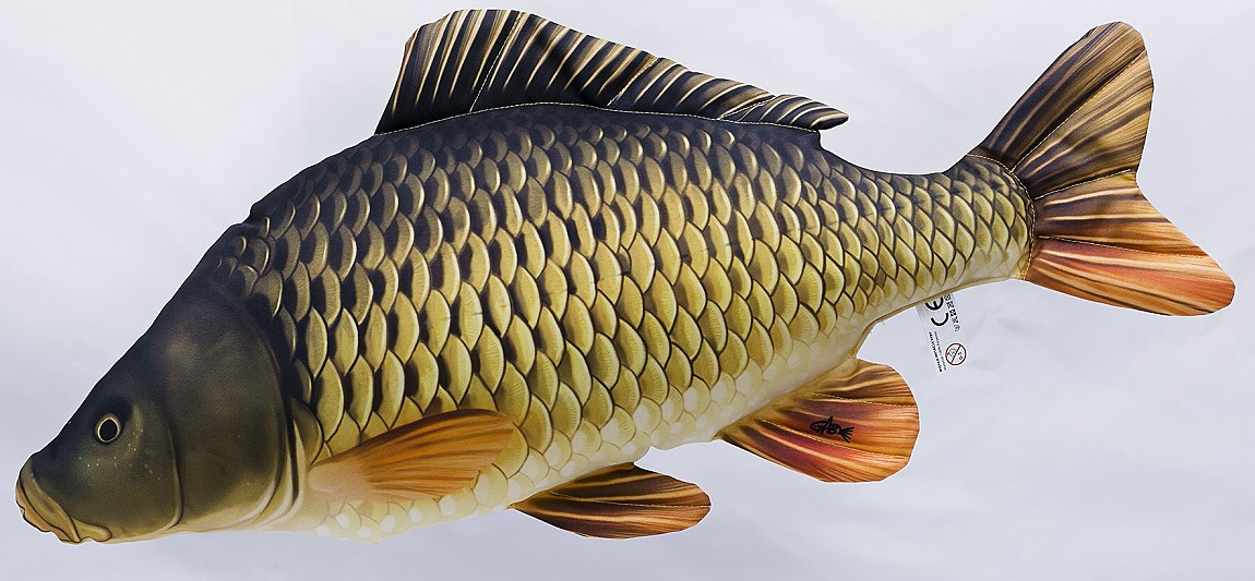 Ryba Karp pełnołuski Mini - 36cm