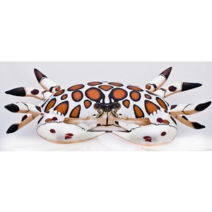 Krab Biały cętkowany - 60cm Krab Biały cętkowany - 60cm
