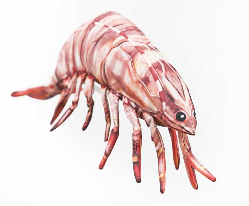 Krewetka Tygrysia - 65cm