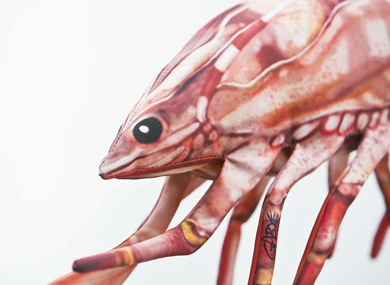 Krewetka Tygrysia - 65cm