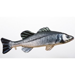 Ryba Labraks Sea Bass - 70cm