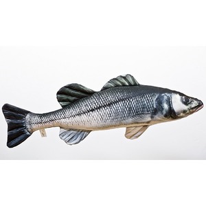 Ryba Labraks Sea Bass - 70cm Ryba Labraks Sea Bass - 70cm