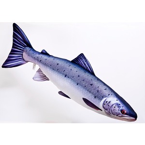 Ryba Łosoś Atlantycki - 90cm