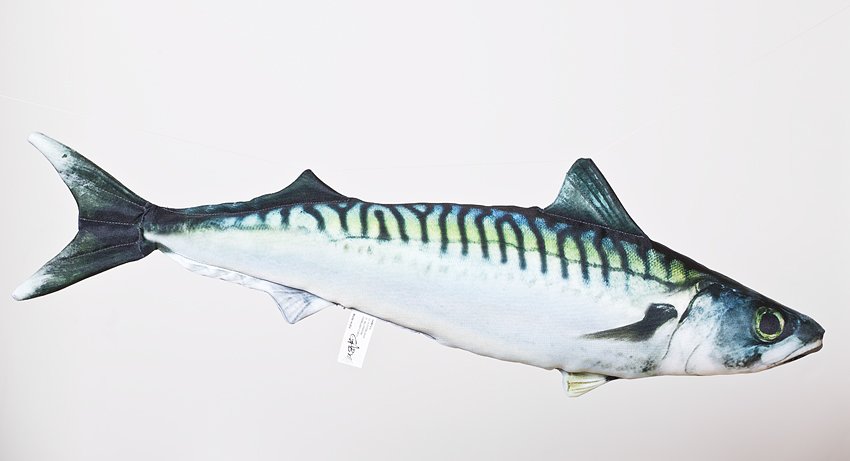 Ryba Makrela - 60cm