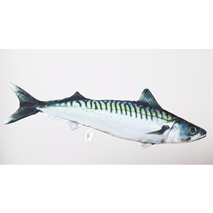 Ryba Makrela - 60cm