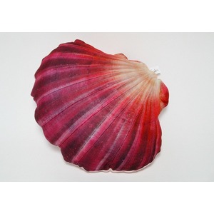 Poduszka Muszla Rowa Muszelka - 37cm