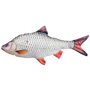 Ryba Płoć Mini - 35cm