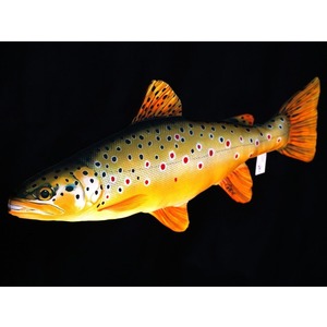 Ryba Pstrąg Potokowy - 62cm Ryba Pstrąg Potokowy - 62cm