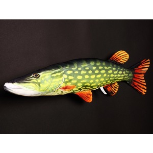 Ryba Szczupak - 80cm