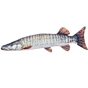 Ryba Szczupak Amerykański - 80cm Ryba Szczupak Amerykański - 80cm