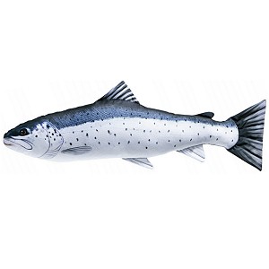 Ryba Troć - 110cm