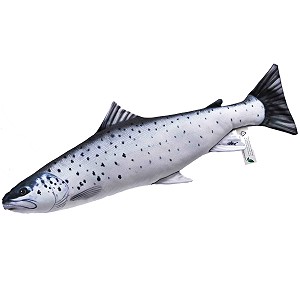 Ryba Troć Mini - 51cm Ryba Troć Mini - 51cm
