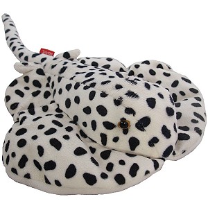 Manta płaszczka - 50cm