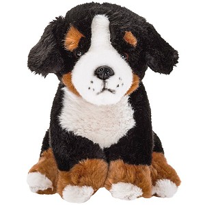 Pies berneński czarny bernardyn - 20cm