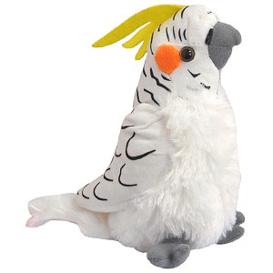 Papuga nimfa - 20cm Papuga nimfa - 20cm