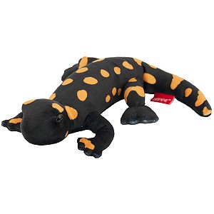 Salamandra Plamista - 20cm