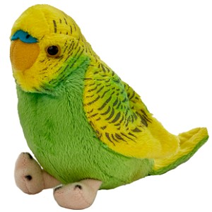 Papużka falista zielona - 13cm