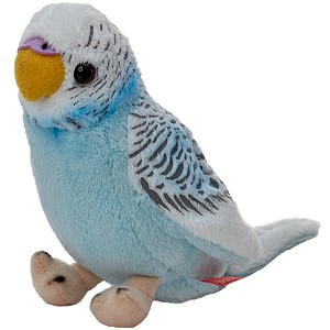 Papużka falista błękitna - 13cm Papużka falista błękitna - 13cm