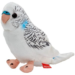 Papużka falista biała - 13cm