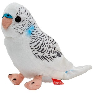 Papużka falista biała - 13cm Papużka falista biała - 13cm